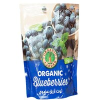 Frozen Blueberries – 300g